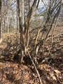  4 Mile Road - Photo 5