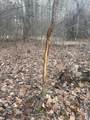  4 Mile Road - Photo 6