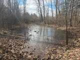  4 Mile Road - Photo 7