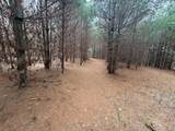  4 Mile Road - Photo 8