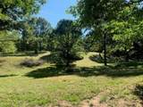 10550 Rolling Oak Drive - Photo 3