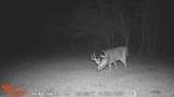 21210 12 Mile Road - Photo 13