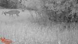 21210 12 Mile Road - Photo 15