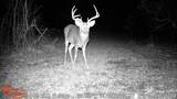 21210 12 Mile Road - Photo 16