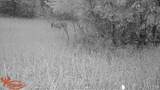 21210 12 Mile Road - Photo 17