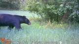 21210 12 Mile Road - Photo 18