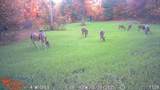 21210 12 Mile Road - Photo 21