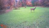 21210 12 Mile Road - Photo 24