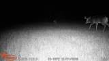 21210 12 Mile Road - Photo 25