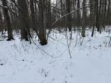 V/L Prairie Road - Photo 38