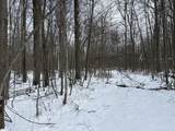 V/L Prairie Road - Photo 43