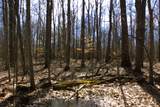 V/L Prairie Road - Photo 46