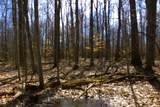 V/L Prairie Road - Photo 47