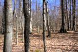 V/L Prairie Road - Photo 49