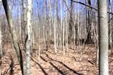 V/L Prairie Road - Photo 50