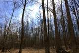 V/L Prairie Road - Photo 60
