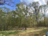 11643 Willow Road - Photo 2