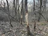 7725 Hayward Rd Road - Photo 12
