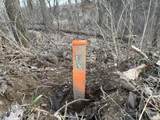 7725 Hayward Rd Road - Photo 15