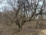 7725 Hayward Rd Road - Photo 19