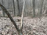 7725 Hayward Rd Road - Photo 43
