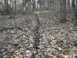 7725 Hayward Rd Road - Photo 47
