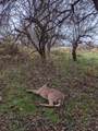  County Road 376 - Photo 22