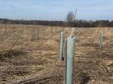  County Road 376 - Photo 34