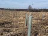  County Road 376 - Photo 65