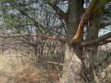  County Road 376 - Photo 71