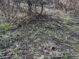  County Road 376 - Photo 72