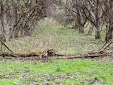  County Road 376 - Photo 74