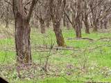  County Road 376 - Photo 75