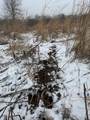  County Road 376 - Photo 76