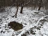  County Road 376 - Photo 77
