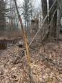 13709 Fenmore Road - Photo 3