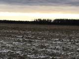 000 M-48 - Photo 4