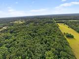  Karlson Lane - Photo 9
