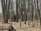 6551 Brown Road - Photo 11