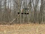 6551 Brown Road - Photo 6