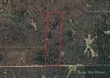 V/L 20.49A 15 Mile Road - Photo 4