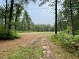 V/L 20.5A Walnut Avenue - Photo 11