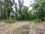 V/L 20.5A Walnut Avenue - Photo 15