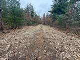 V/L 20.5A Walnut Avenue - Photo 20