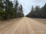 V/L 20.5A Walnut Avenue - Photo 22