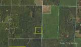 V/L 20.5A Walnut Avenue - Photo 3