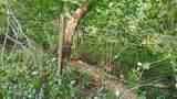 982 Stanton Road - Photo 31