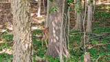 982 Stanton Road - Photo 33