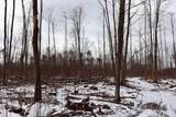  Long Lake Road - Photo 35