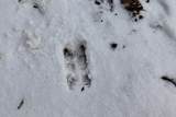  Long Lake Road - Photo 36